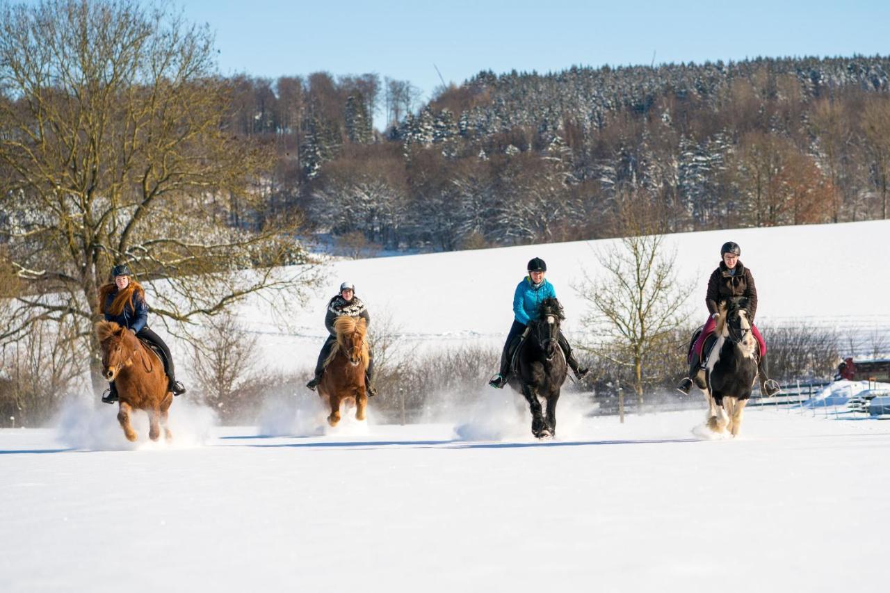 Ferienhof Homann Sauerland Brilon Zewnętrze zdjęcie
