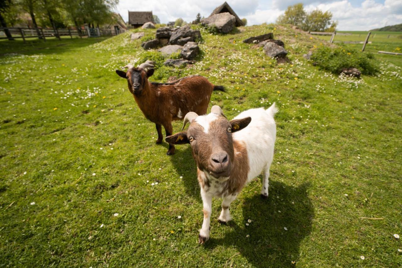 Ferienhof Homann Sauerland Brilon Zewnętrze zdjęcie